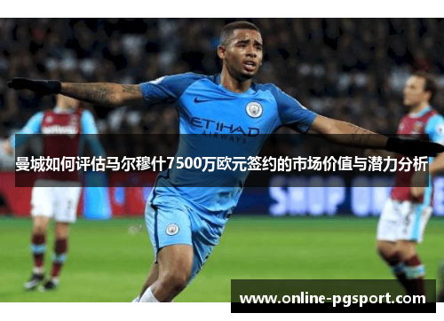 曼城如何评估马尔穆什7500万欧元签约的市场价值与潜力分析