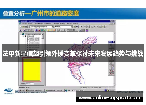 法甲新星崛起引领外援变革探讨未来发展趋势与挑战